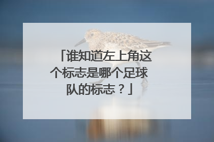谁知道左上角这个标志是哪个足球队的标志？