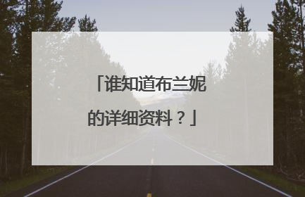 谁知道布兰妮的详细资料？