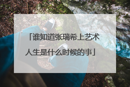 谁知道张瑞希上艺术人生是什么时候的事