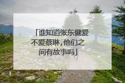 谁知道张东健爱不爱蔡琳,他们之间有故事吗
