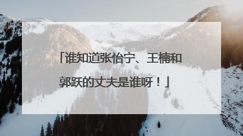 谁知道张怡宁、王楠和郭跃的丈夫是谁呀！