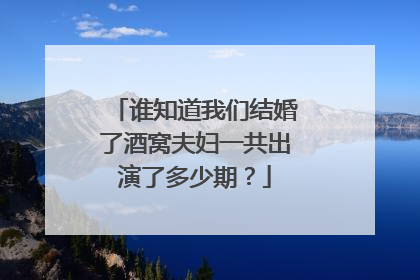 谁知道我们结婚了酒窝夫妇一共出演了多少期？