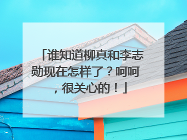 谁知道柳真和李志勋现在怎样了？呵呵，很关心的！