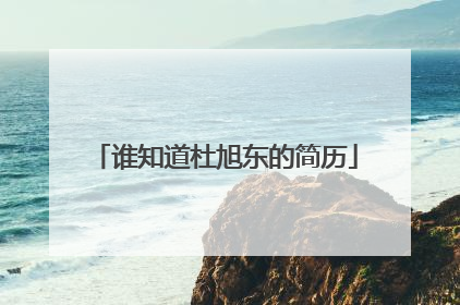 谁知道杜旭东的简历