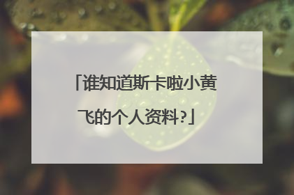 谁知道斯卡啦小黄飞的个人资料?