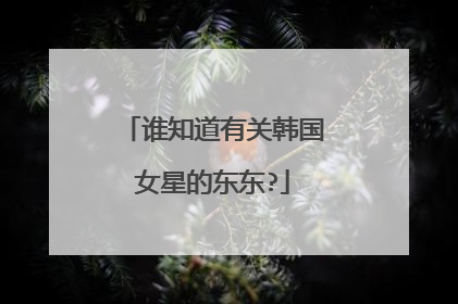 谁知道有关韩国女星的东东?