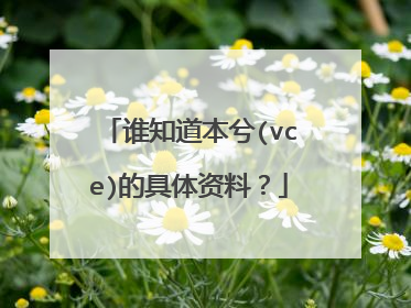 谁知道本兮(vce)的具体资料?