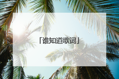 谁知道歌词