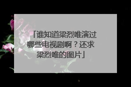 谁知道梁烈唯演过哪些电视剧啊？还求梁烈唯的图片