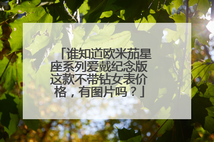 谁知道欧米茄星座系列爱戴纪念版这款不带钻女表价格，有图片吗？