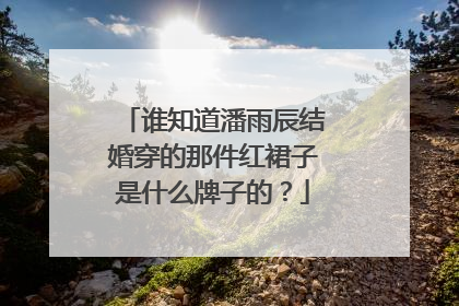 谁知道潘雨辰结婚穿的那件红裙子是什么牌子的？