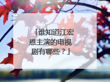 谁知道江宏恩主演的电视剧有哪些？