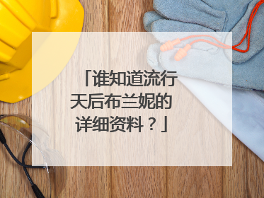 谁知道流行天后布兰妮的详细资料？