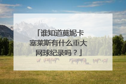 谁知道莫妮卡 塞莱斯有什么重大网球纪录吗？