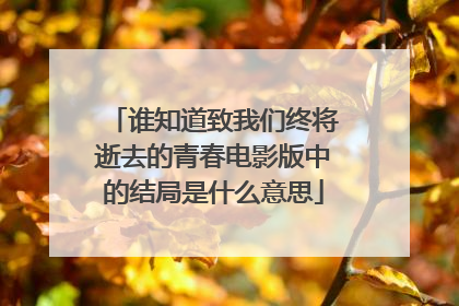 谁知道致我们终将逝去的青春电影版中的结局是什么意思