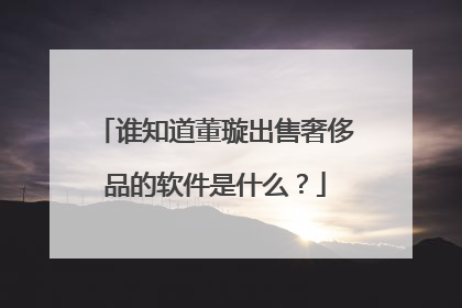谁知道董璇出售奢侈品的软件是什么？