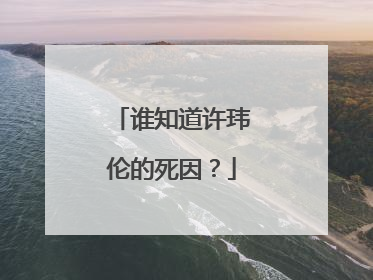 谁知道许玮伦的死因？