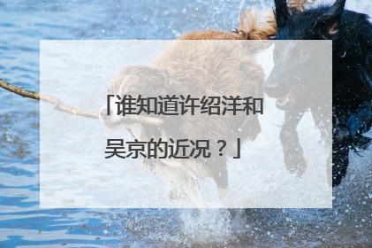 谁知道许绍洋和吴京的近况?