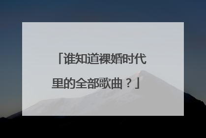 谁知道裸婚时代里的全部歌曲？