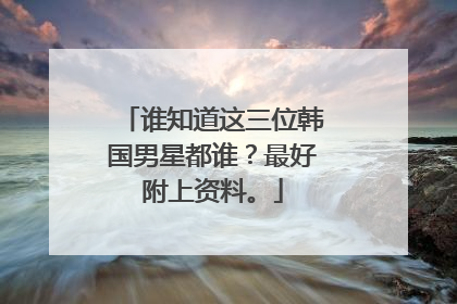 谁知道这三位韩国男星都谁？最好附上资料。