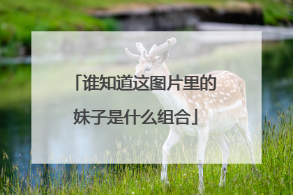 谁知道这图片里的妹子是什么组合