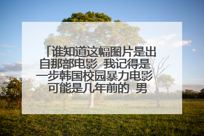 谁知道这幅图片是出自那部电影 我记得是一步韩国校园暴力电影 可能是几年前的 男主角使用的是双截棍