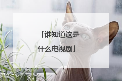 谁知道这是什么电视剧