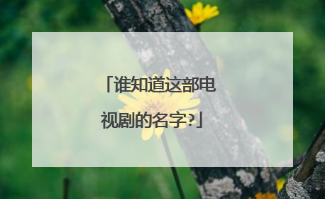 谁知道这部电视剧的名字?