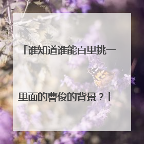 谁知道谁能百里挑一里面的曹俊的背景？