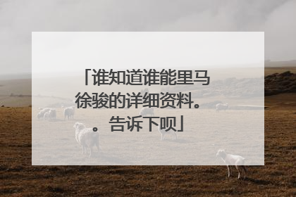 谁知道谁能里马徐骏的详细资料。。告诉下呗