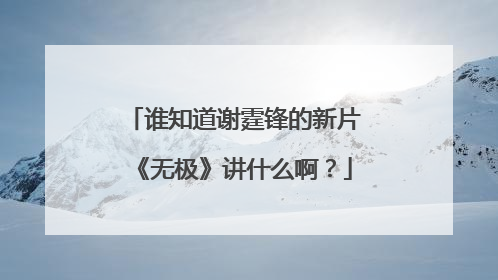 谁知道谢霆锋的新片《无极》讲什么啊？