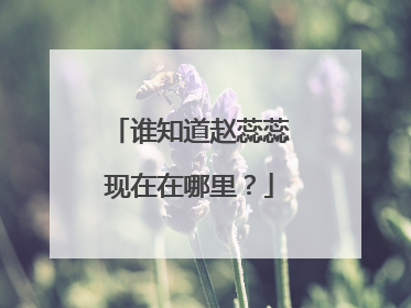 谁知道赵蕊蕊现在在哪里？