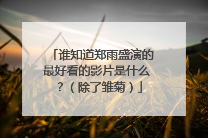 谁知道郑雨盛演的最好看的影片是什么?(除了雏菊)