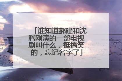 谁知道郝建和沈腾刚演的一部电视剧叫什么，挺搞笑的，忘记名字了