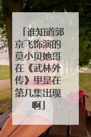谁知道郭京飞饰演的莫小贝她哥在《武林外传》里是在第几集出现啊