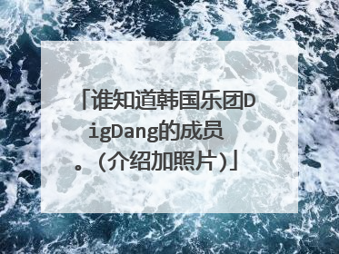 谁知道韩国乐团DigDang的成员。(介绍加照片)