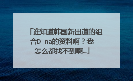 谁知道韩国新出道的组合D na的资料啊？我怎么都找不到啊…