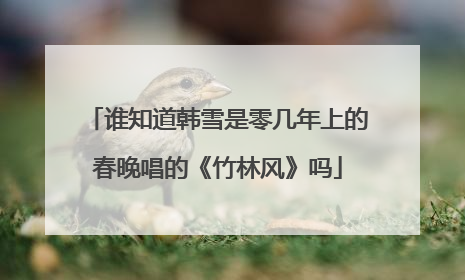 谁知道韩雪是零几年上的春晚唱的《竹林风》吗