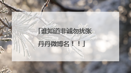 谁知道非诚勿扰张丹丹微博名！！