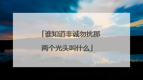 谁知道非诚勿扰那两个光头叫什么