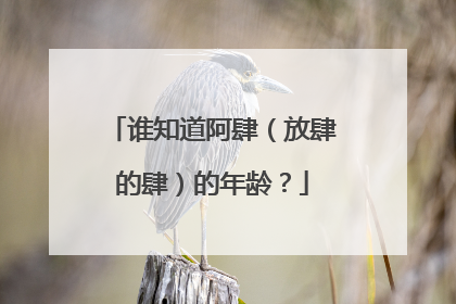 谁知道阿肆（放肆的肆）的年龄？