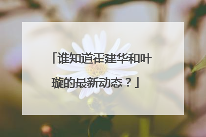 谁知道霍建华和叶璇的最新动态？