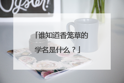 谁知道香笼草的学名是什么?