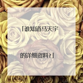 谁知道马天宇的详细资料?