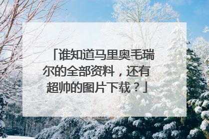 谁知道马里奥毛瑞尔的全部资料,还有超帅的图片下载?