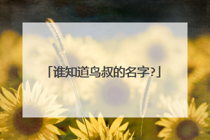 谁知道鸟叔的名字?