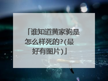 谁知道黄家驹是怎么样死的?(最好有图片)