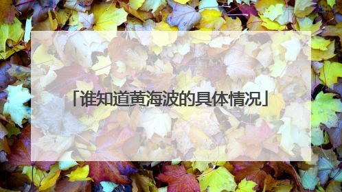 谁知道黄海波的具体情况