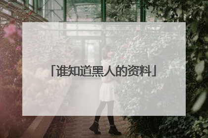 谁知道黑人的资料