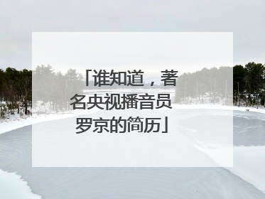谁知道，著名央视播音员罗京的简历